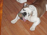 20090711_028.JPG