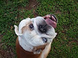 20090714_082.JPG