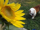 20090714_087.JPG