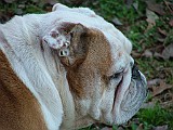 6-26-2009 001.JPG