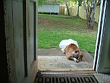 6-26-2009 003.JPG