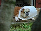 6-26-2009 017.JPG