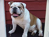 6-26-2009 025.JPG
