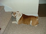 DSCF0004.JPG