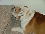 DSCF0005.JPG