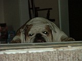 DSCF0009.JPG
