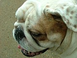 DSCF0034.JPG