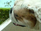 DSCF0035.JPG