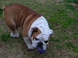 DSCF2241.JPG