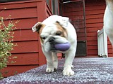 DSCF2244.JPG
