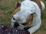 DSCF2247.JPG