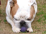 DSCF2248.JPG