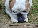 DSCF2249.JPG