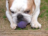 DSCF2250.JPG