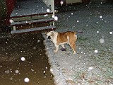 DSCF2256.JPG