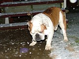 DSCF2259.JPG