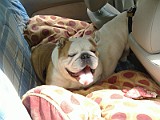 DSCF2281.JPG