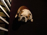 DSCF2898.JPG