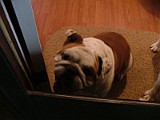 DSCF2969.JPG
