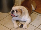 DSCF2998.JPG