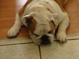 DSCF3032.JPG
