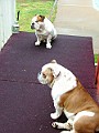 DSCF3038.JPG