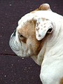 DSCF3040.JPG