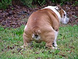 DSCF3063.JPG