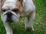 DSCF3066.JPG