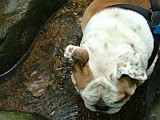 DSCF3128.JPG