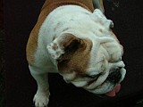 DSCF3671.JPG