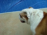 DSCF3674.JPG