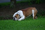 IMG_0027.JPG