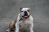 IMG_0042.JPG