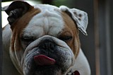 IMG_0101.JPG