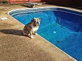002 (1).JPG