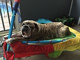 20150414_131438335_iOS.jpg