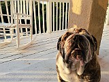 20150619_110248641_iOS.jpg