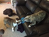 IMG_0630.JPG