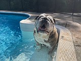 IMG_1690.jpg