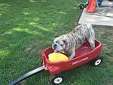 IMG_1758.JPG
