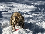 IMG_20171209_162745-ANIMATION.gif