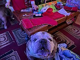 IMG_2893.jpg