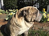 IMG_3022.JPG