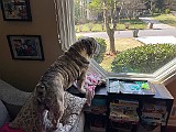 IMG_9604.jpg