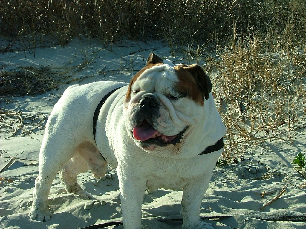 20090213_295