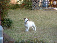 DSCF0092