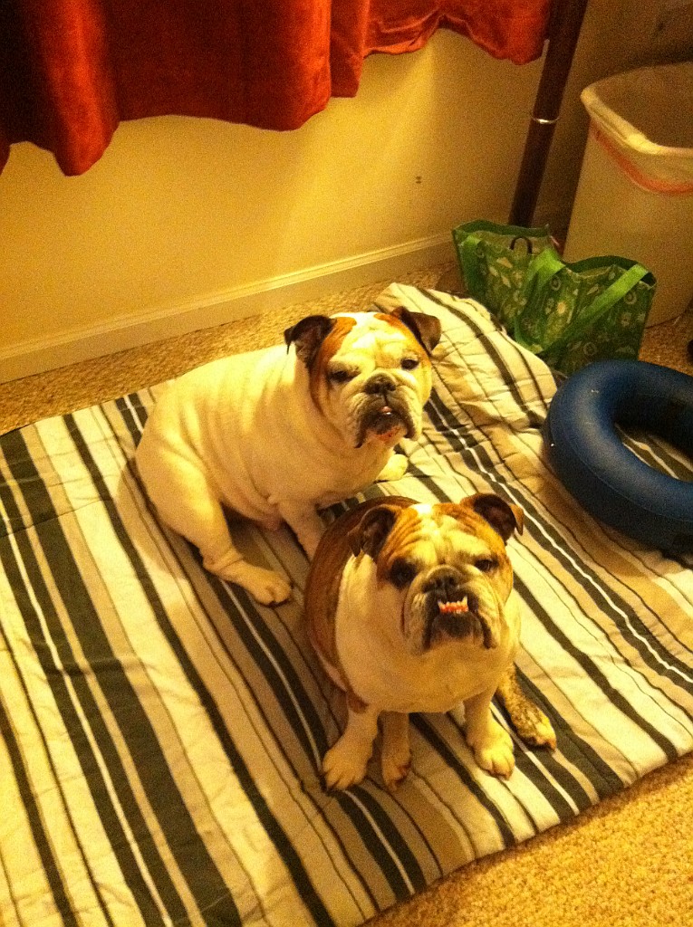 IPhone Pics 002