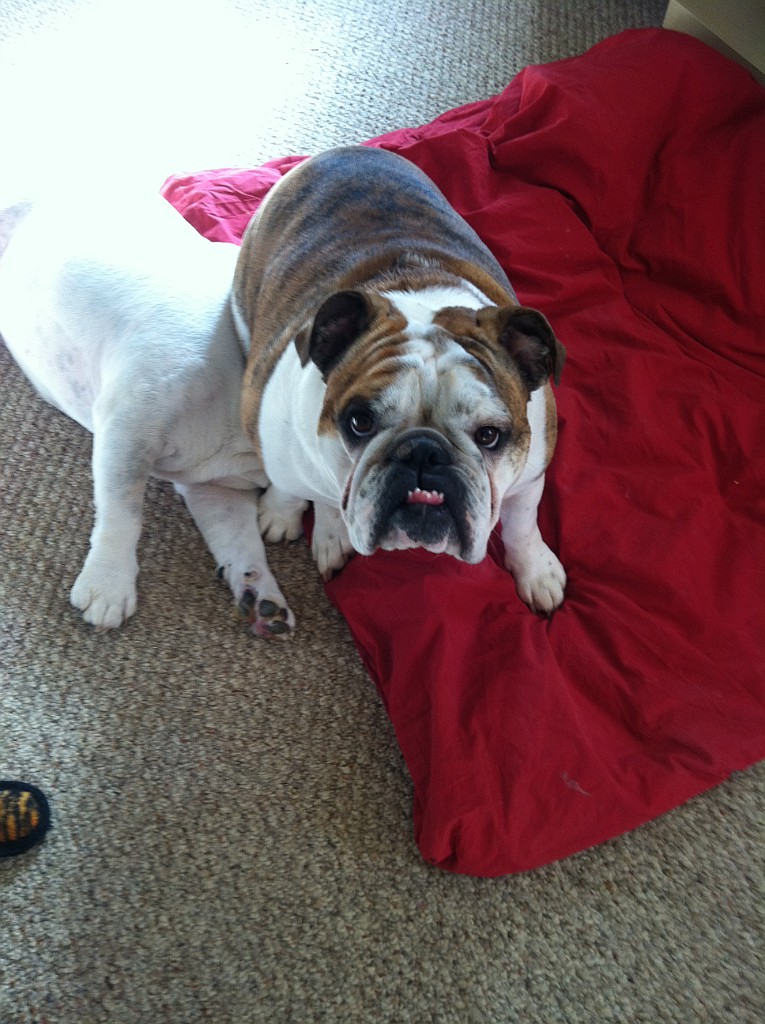 IPhone Pics 011