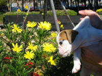 Tuffy October 03 015